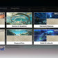 [Nivel 57] Lucy + Denia + Arma , Chisa + Arma , Aemeath + Arma , Lupa + Arma , Mornye , Rebecca , Calcharo , Verina , Jianxin , Lingyang